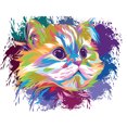 thumbnail image 1 of Pintura de diamante (DE5563) colorido gato persa 5D DIY cuadrado lindo decoración mosaico 20X30cm Hugtrwg Para estrenar, 1 of 1