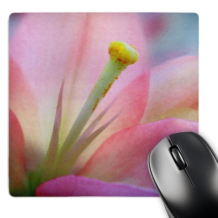 3dRose  Pink Lily  MousePad price history on PriceWatchPro