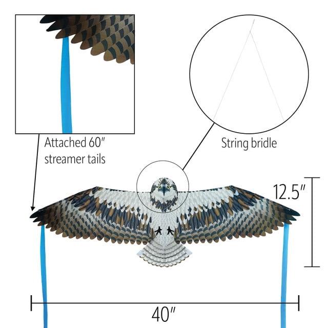In the Breeze 3534 — 40-inch Osprey Bitty Bird Kite — Bold, Small, Fully Printed Bird of Prey Kite for All Skill Levels