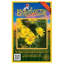 Everwilde Farms - 1000 Golden Aster Native Wildflower Seeds - Gold Vault Jumbo Bulk Seed Packet