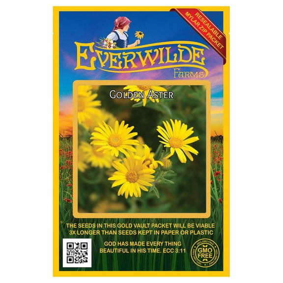Everwilde Farms - 1000 Golden Aster Native Wildflower Seeds - Gold Vault Jumbo Bulk Seed Packet