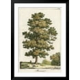 thumbnail image 2 of Art.com A Sweet Chestnut Tree Art Print, Black Frame Wall Art, 32" x 44", 2 of 5