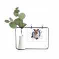 thumbnail image 1 of Damage Animal Paper Pekingese Metal Picture Frame Cerac Vase Decor, 1 of 3