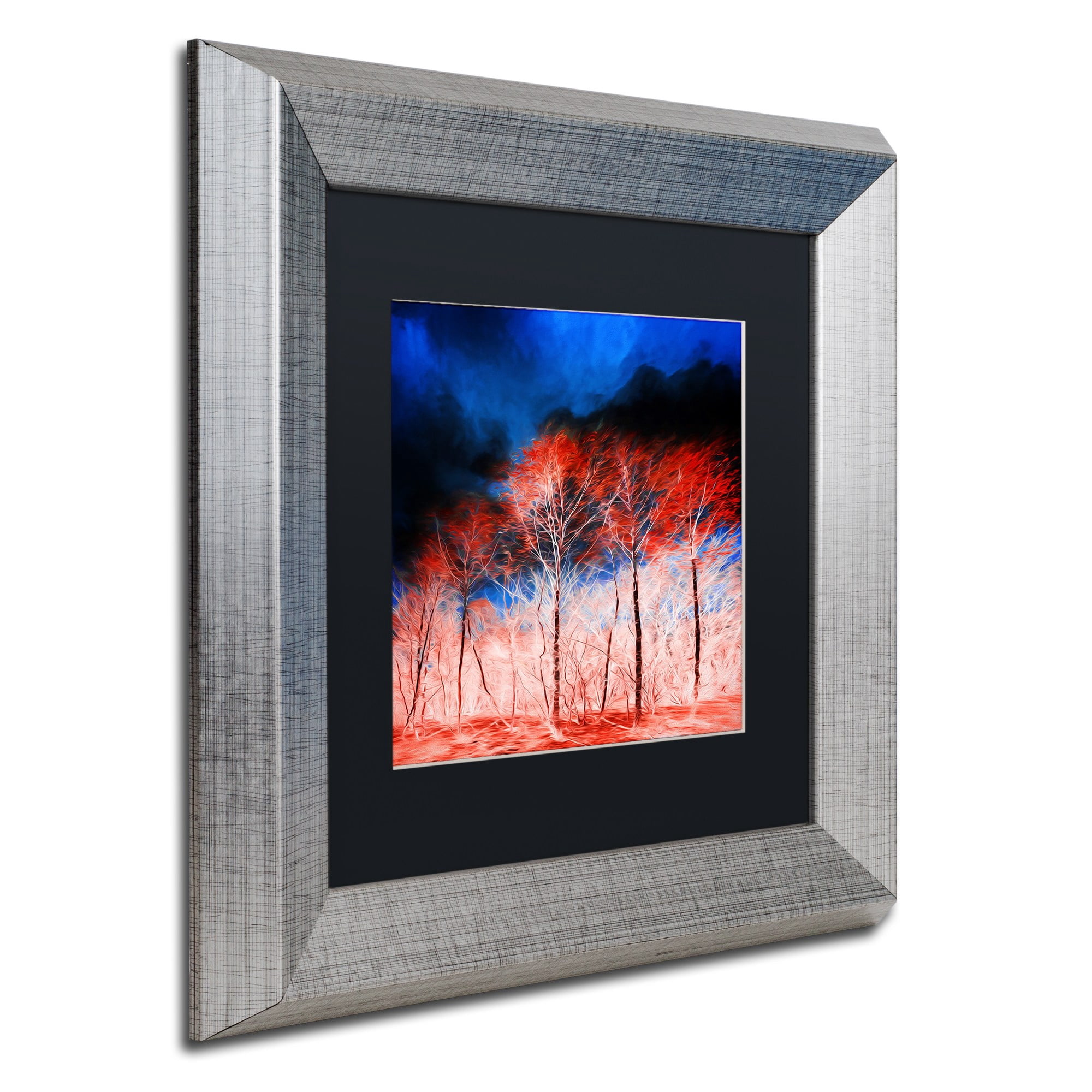 Trademark Fine Art "The Worst Is Yet To Come" Canvas Art by Philippe Sainte-Laudy Black Matte, Silver Frame