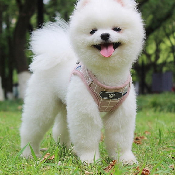 WEAVILUX Adjustable Dog Vest with Reflective Chest Strap, Soft Breathable Pet Walking for Small Medium Dogs