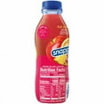 2XSnapple Fruit Punch Juice Drink 16 fl oz