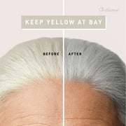 Just Nutritive Gray & Silver Hair Set, Anti-Brass, Soft & Bright, For All Types, Non-Purple, 16 oz