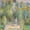 The Artist's Garden At Vetheuil 1881, variant on Elephant Stock The Artist's Garden At Vetheuil 1881 Wall Art - Vertical Canvas Wall Art - Living Room Wall Decor - Nature Canvas - Gray And Green Decor By Claude Monet - 8" x 12"