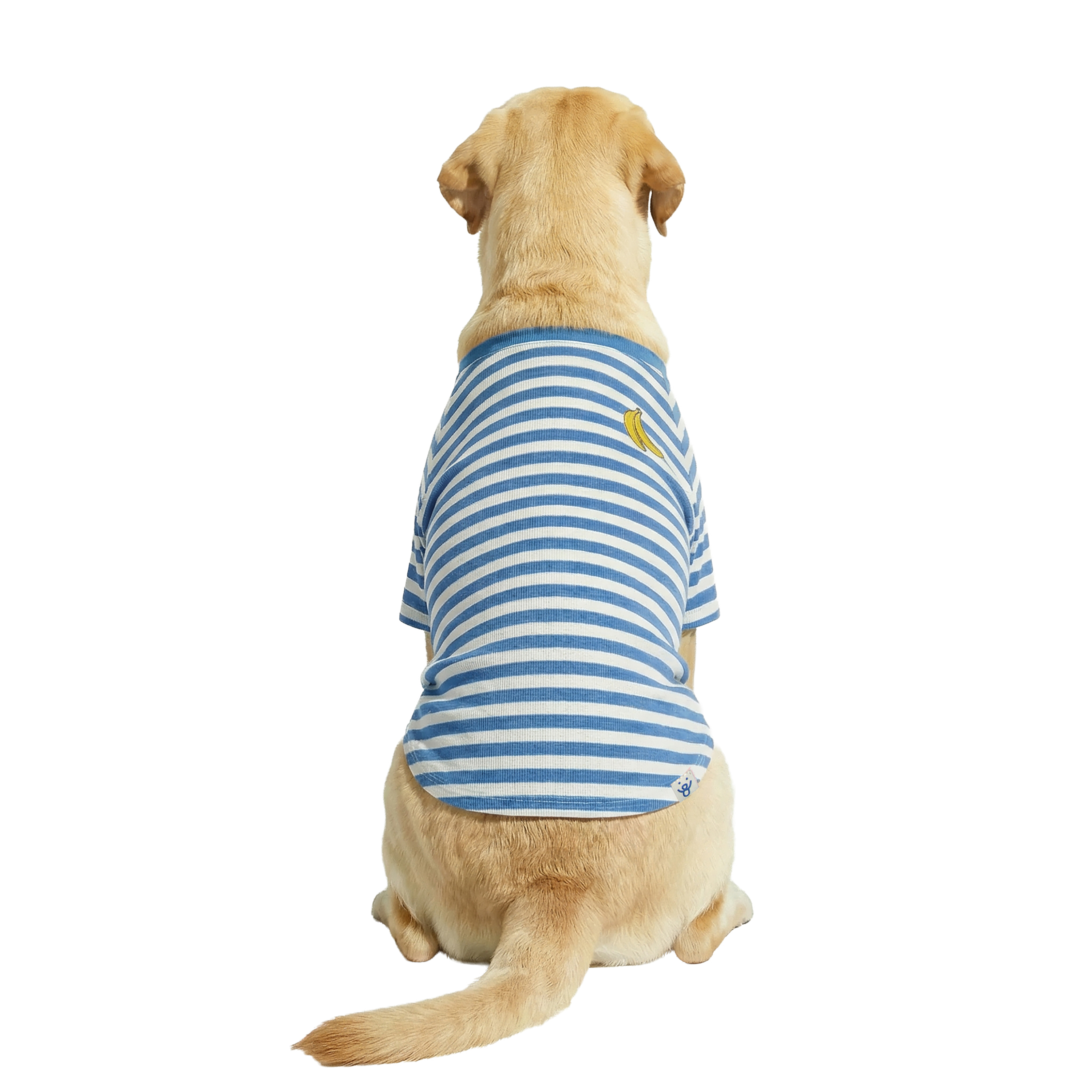 Oodles Blue Striped Banana Knit Spring Dog T-Shirt, Extra Large