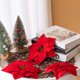 thumbnail image 1 of Artículos para Mujeres Xihbxyly Flores de Navidad Imitación Decoradas para El Hogar, 1 of 7
