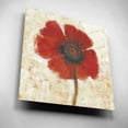 thumbnail image 2 of Epic Art 'Red Poppy Portrait I' by Tim O'Toole, Acrylic Glass Wall Art, 12"x12", 2 of 7