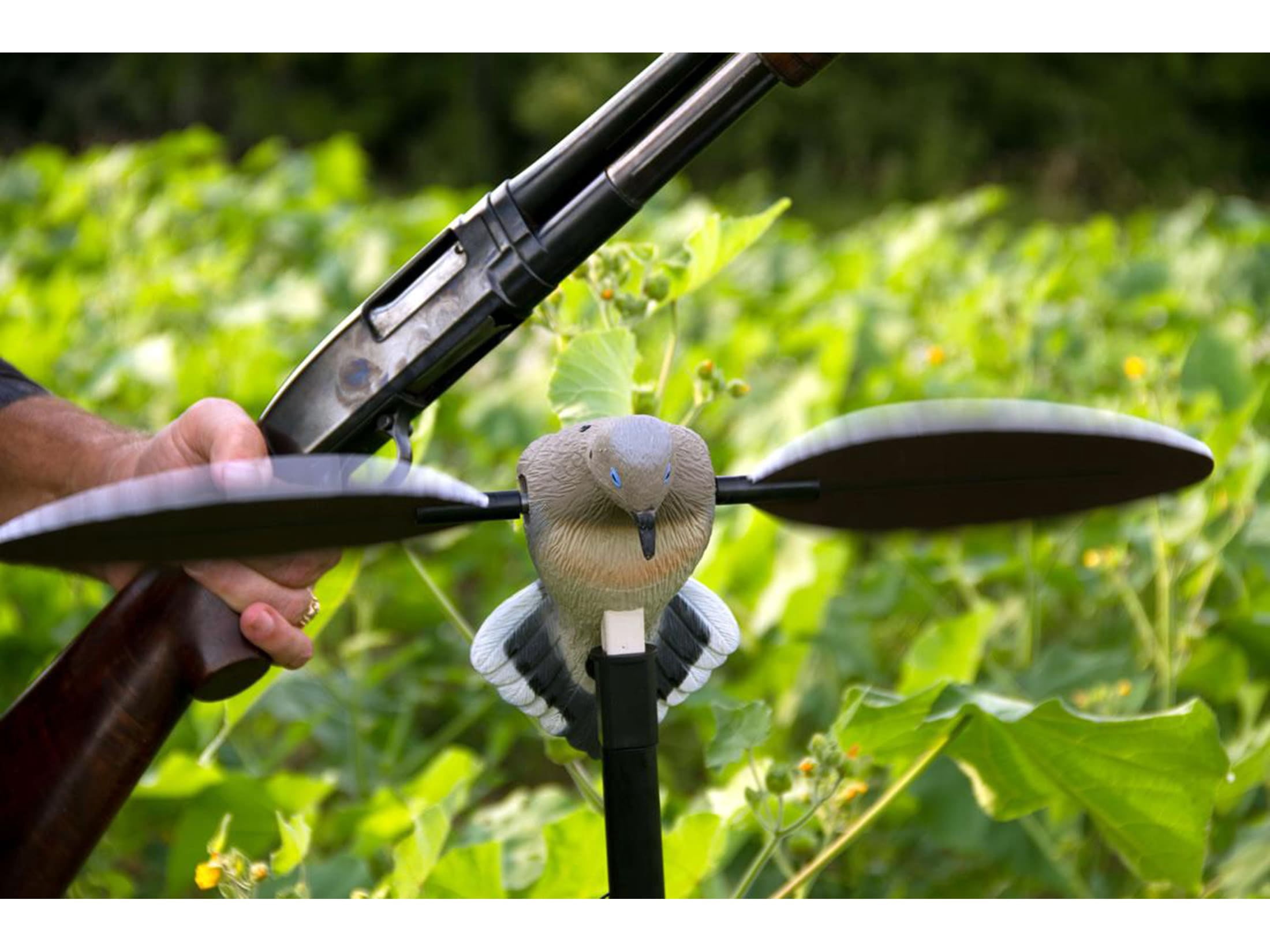Mojo Outdoors Voodoo Spinning Wing Dove Decoy