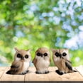 thumbnail image 4 of Gadgetvlot 3PCS Forest Mini Owl Microscopic Gardening Decoration Animal Model Simulation Miniature Landscape Decoration Decoration, 4 of 8