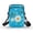 Daisies Hummingbirds, variant on HELLHERO Stars and Stripes Women Crossbody Bag Polyester Adjustable Strap Travel Crossbody Purse for Outdoor Holiday Travel