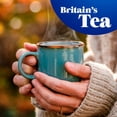 thumbnail image 4 of Tetley Decaffeinated Tea Bags 160's, British Import (Pack of 2), 4 of 5