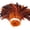 Multicolor, variant on Craft Feather, 100-Piece Natural Pack for Trimming, Gluing, Sewing, and Layering Apparel, Accessories, and DIY Projects