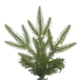 thumbnail image 3 of Vickerman 102" Bixley Pencil Fir LED Lights Artificial Christmas Tree in Green, 3 of 3
