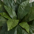 thumbnail image 4 of Nearly Natural 23” Bird’s Nest Fern Artificial Plant (Set of 3), 4 of 5
