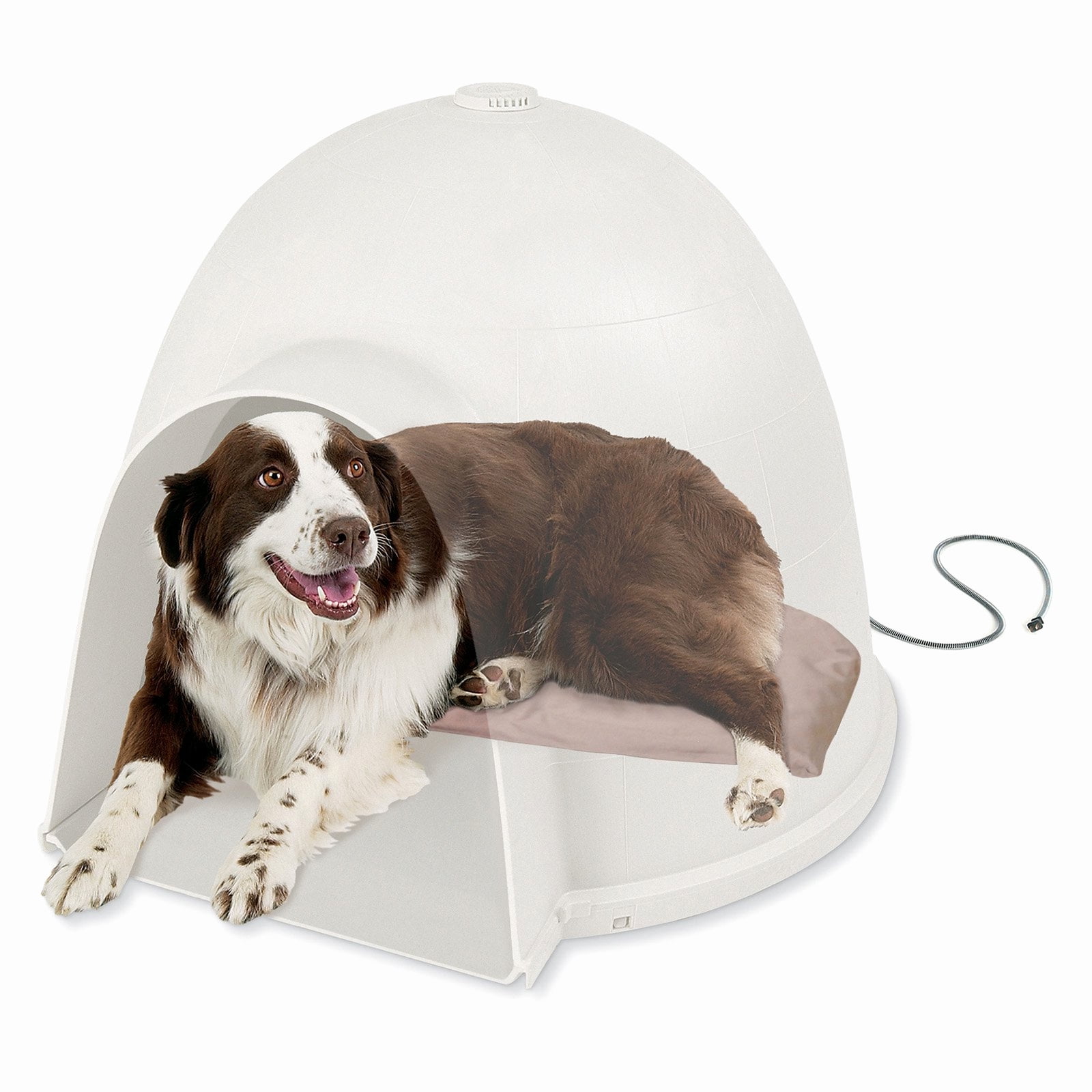 dog igloo bed walmart