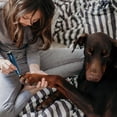 thumbnail image 5 of Zorpupoa 2-Speed Quiet USB Rechargeable Pet Nail Grinder Cordless Dog Nail Trimmer Gentle Claw Care for At-Home Grooming Daily Paw Care, 5 of 13