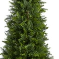 thumbnail image 3 of Nearly Natural 5.5ft. Cypress Cone Topiary Artificial Tree UV Resistant (Indoor/Outdoor), 3 of 5