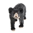 thumbnail image 4 of Static Animal Model Action Figure Toy for Kids and Kids Realistic Adults Sun Bear, 4 of 9