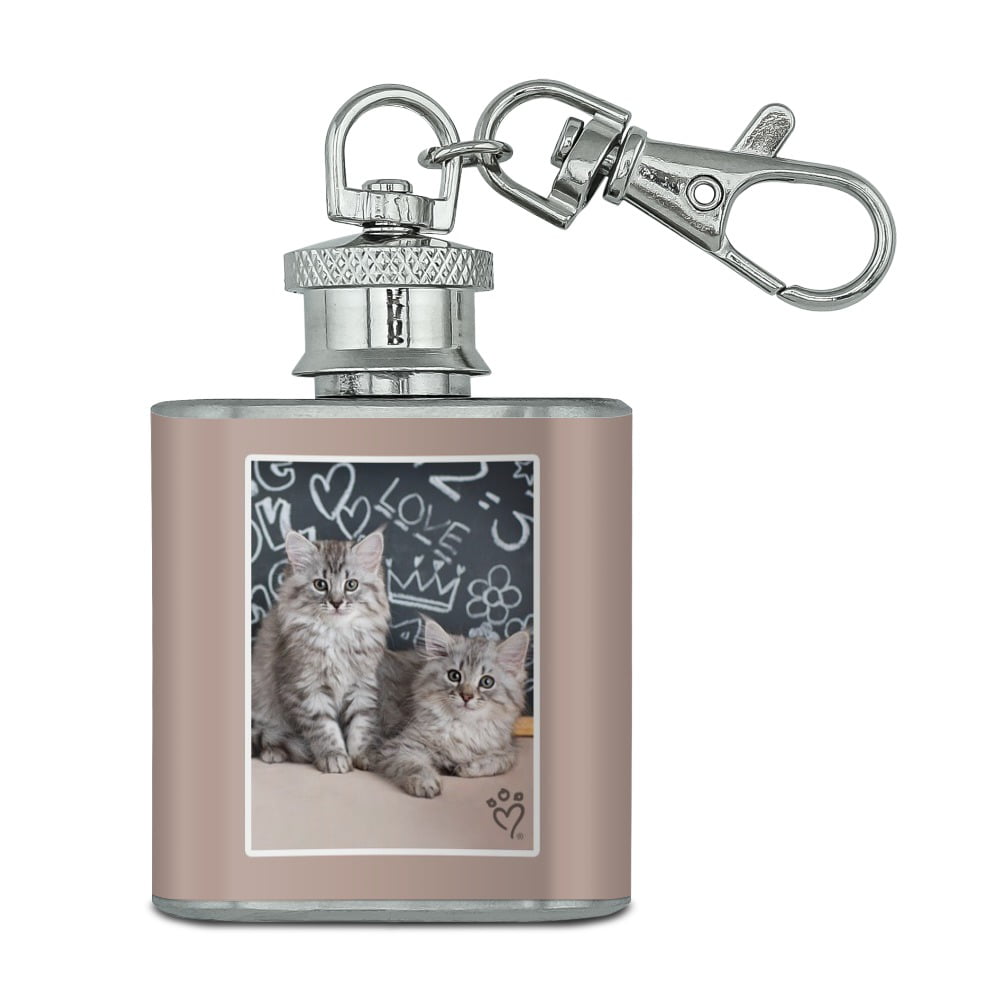 Funny Crazy Cat Lady I Only Want 2 Cats Sports Drinks Bottle Camping Flask 