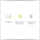 thumbnail image 4 of Cortinas SmartSheer, termorreguladoras, semitransparentes, 150 x 213 cm, color blanco, 4 of 5