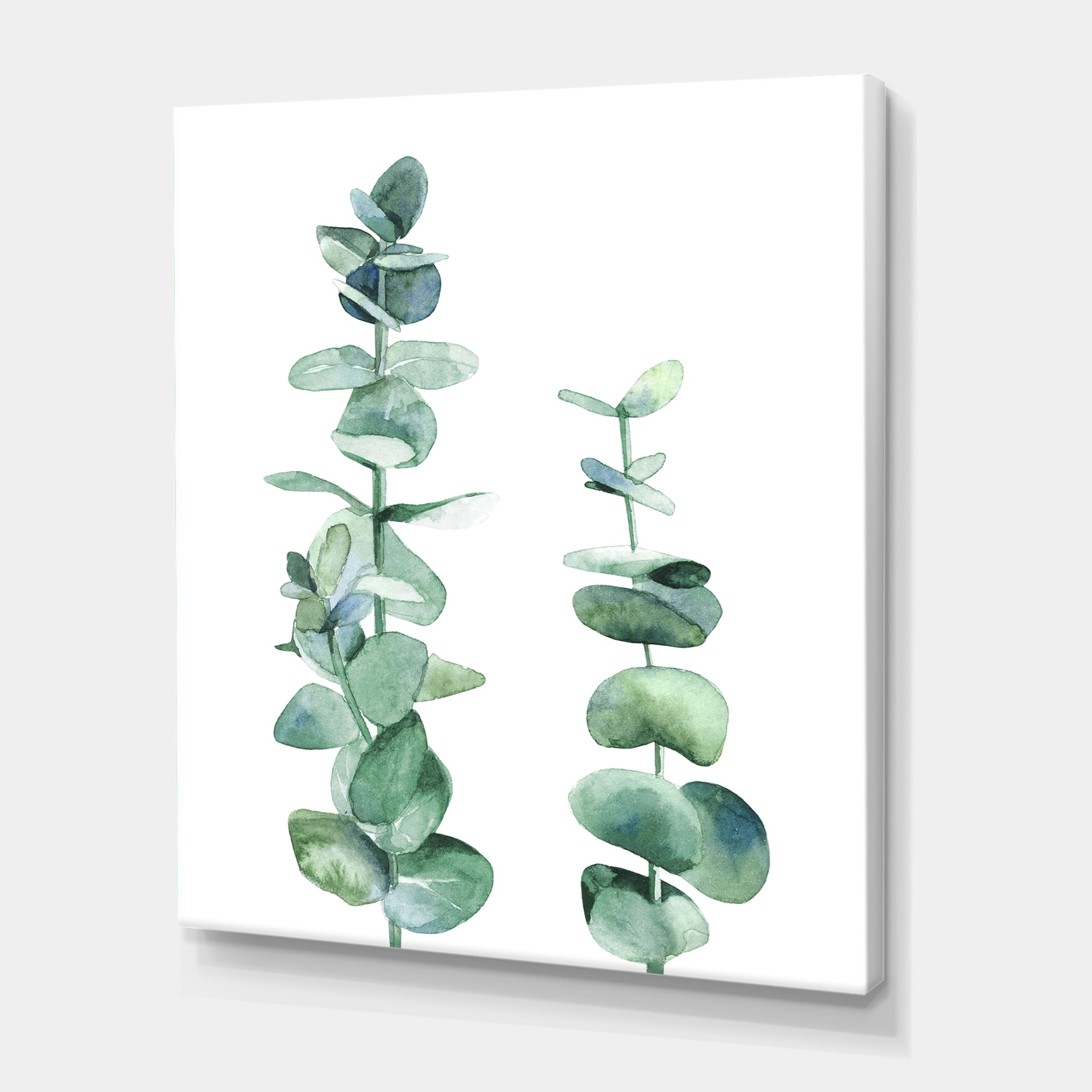 Designart ' Green Eucalyptus Branch ' Tropical Canvas Wall Art Print