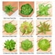 thumbnail image 3 of Plantas simuladas Naiovety 10 piezas de suculentas falsas PVC, 3 of 6