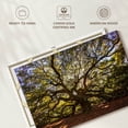 thumbnail image 6 of Elephant Stock Gnarled Angel Oak Wall Art - Horizontal Canvas Wall Art - Living Room Wall Decor - Floral And Botanical Canvas - Orange And Green Decor - 24" x 16", 6 of 8