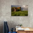 thumbnail image 3 of Epic Graffiti 'Barn Sunset 2' by Joe Reimer Photography, Canvas Wall Art, 40"x26", 3 of 8