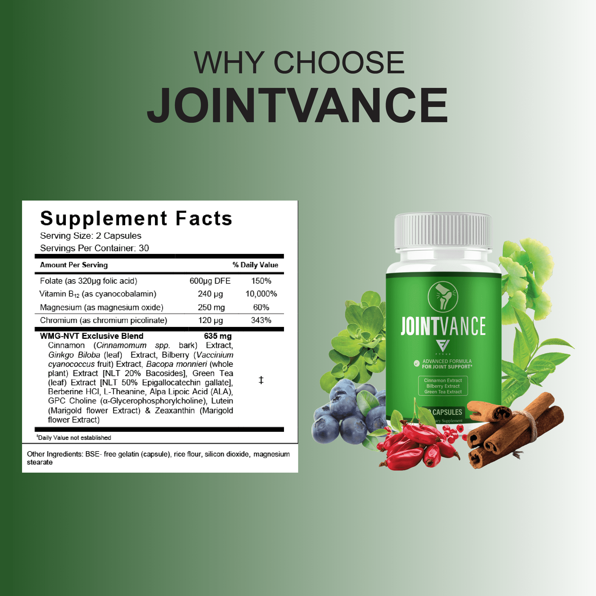 (3 Pack) Joint Vance Capsules, JointVance Advanced Joint Health (180 Capsules)