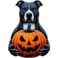 CafePress Pitbull Halloween Holding Jack O Lantern Men's Value T