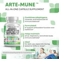 thumbnail image 6 of Clean Nutraceuticals Artemisinin Quercetin Zinc Mullein Quinine Supplement with Sea Moss Bromelain Ashwagandha Root Nettle Leaf Bladderwrack Burdock Root Monolaurin Colostrum Rutin, 6 of 9