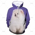 thumbnail image 3 of Sudadera con capucha de perro Pomerania con estampado 3D para hombre y mujer, sudadera con capucha con gráficos de animales, sudaderas de manga larga a la moda, ropa para niños, 3 of 5
