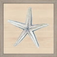 thumbnail image 3 of Great Art Now Sand Dollar & Starfish by Patricia Pinto, 2 Piece Framed Art Set Each 13"W x 13H, 3 of 3