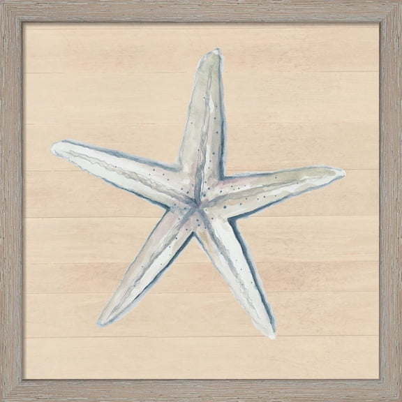 Great Art Now Starfish by Patricia Pinto, Framed Wall Art, 13W x 13H