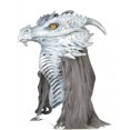 thumbnail image 1 of Occasions MR035018 Costumes pour Toutes Masque Premier Ancien Dragon, 1 of 1
