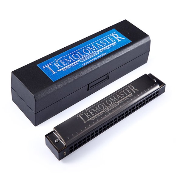 24 Holes Tremolo Harmonica Stylish C Tone Black Mouth Organ Harp for Professional Player Beginner Students Kid Adults