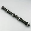 Ford Performance Parts Engine M-6250-E303 Hydraulic Roller Camshaft ...