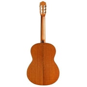 Cordoba C5 with Spruce Top