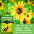 thumbnail image 4 of Common Sunflower Seeds for Planting | Bird & Pollinator Magnet | Native Full Sun Annual Flower - 1 Pack, 4 of 9