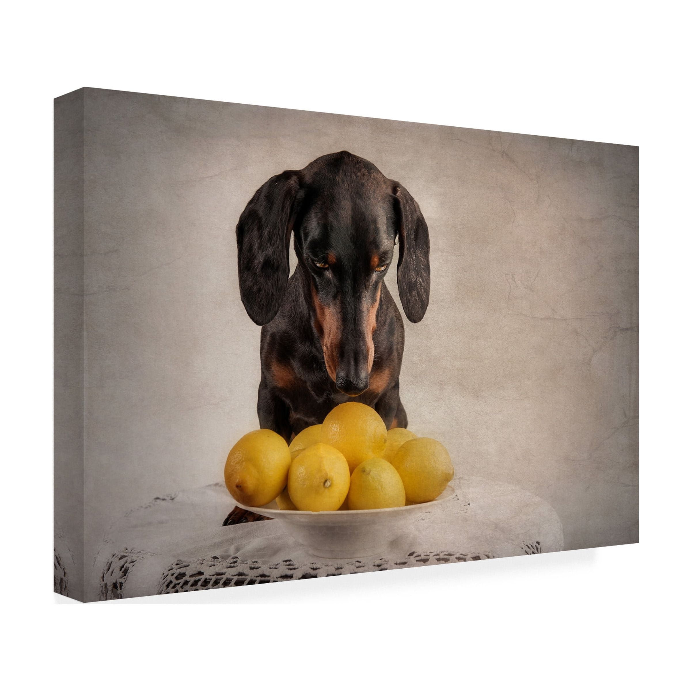 Heike Willers 'When Life Gives You Lemons' Canvas Art