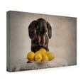 thumbnail image 4 of Heike Willers 'When Life Gives You Lemons' Canvas Art, 4 of 4