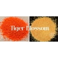 thumbnail image 2 of Glitter Heart Co. - High Quality Polyester Glitter - Orange Glow in the Dark - Tiger Blossom - 2 oz Bottle, 2 of 2