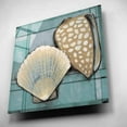 thumbnail image 4 of Epic Art 'Seashell Sketch I' by Tim O'Toole, Acrylic Glass Wall Art, 12"x12", 4 of 7