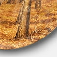 thumbnail image 3 of DesignArt Dense Birch Forest in the Fall Large Wall Clock, 3 of 4