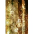thumbnail image 2 of Jasper, Sisa 11x14 White Modern Wood Framed Museum Art Print Titled - Golden Glow II, 2 of 4