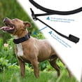 thumbnail image 6 of Dog Training Collar,Strong Heavy Duty Velcro Collar Nylon with Metal Buckle, 6 of 6